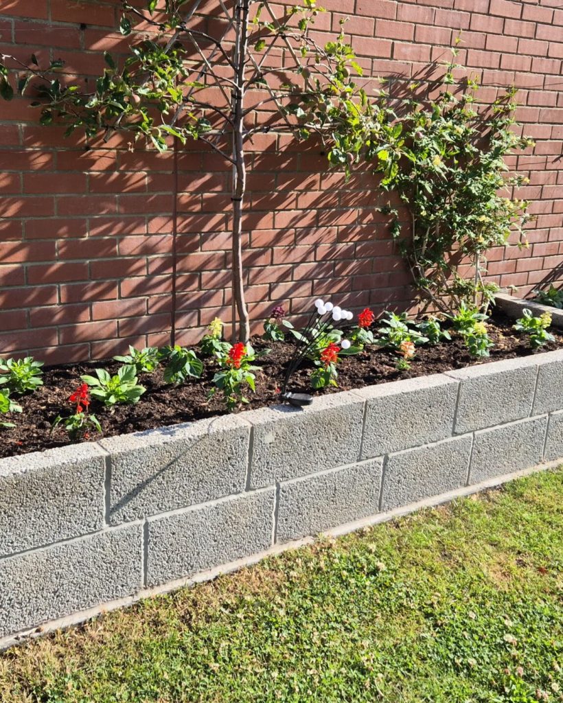 CGS-Grass-Care-Services-Three